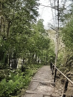実行結果③(カラー化された画像ファイル「saved_siggraph17.png」)